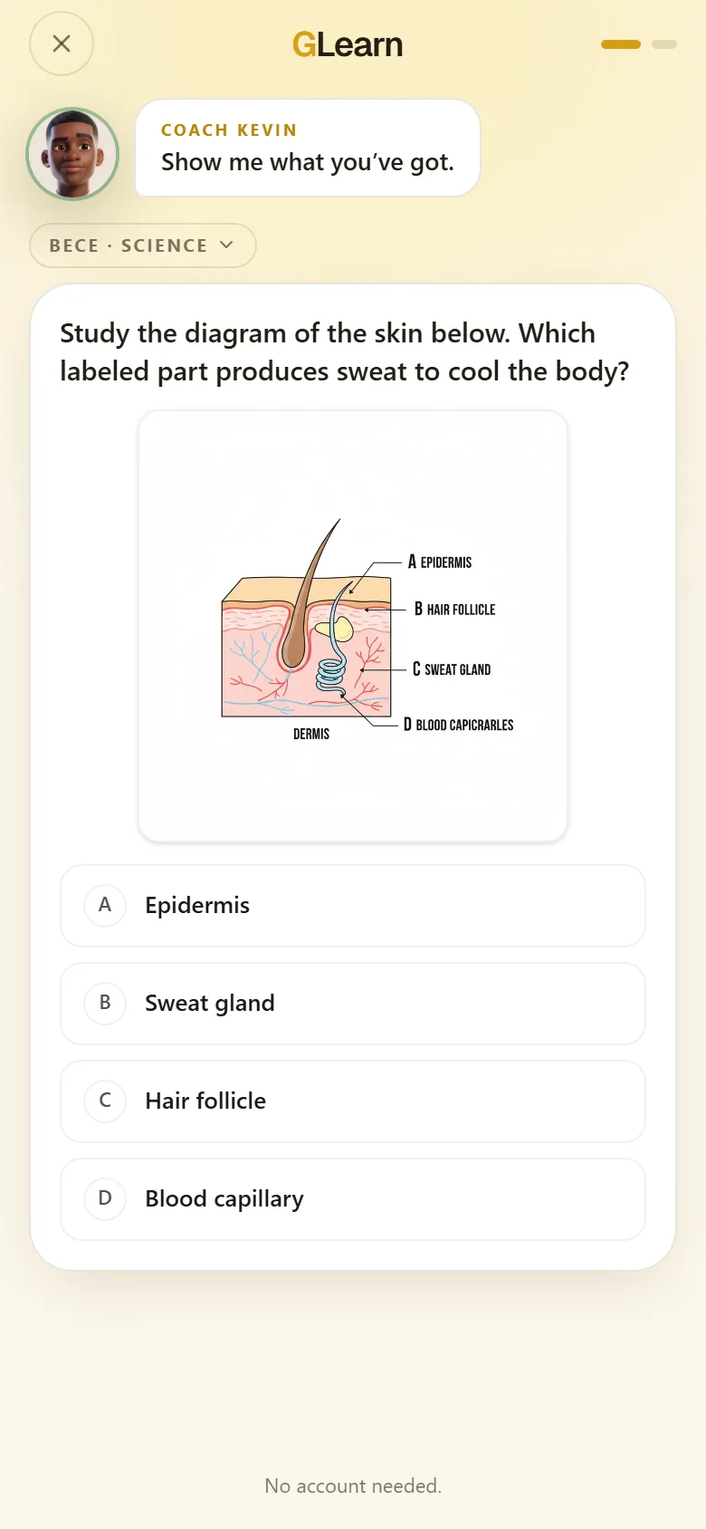 GLearn on a phone: a real BECE question, marked with the why